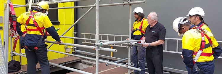 Scaffold Training